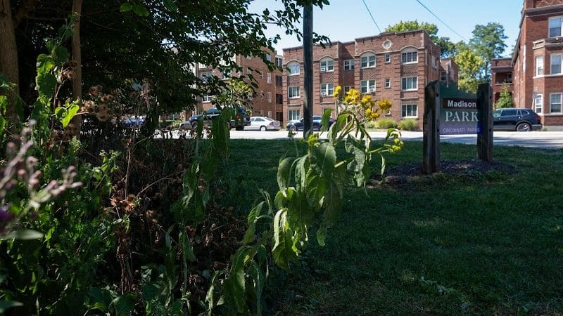 Madison Park - Cincinnati, OH