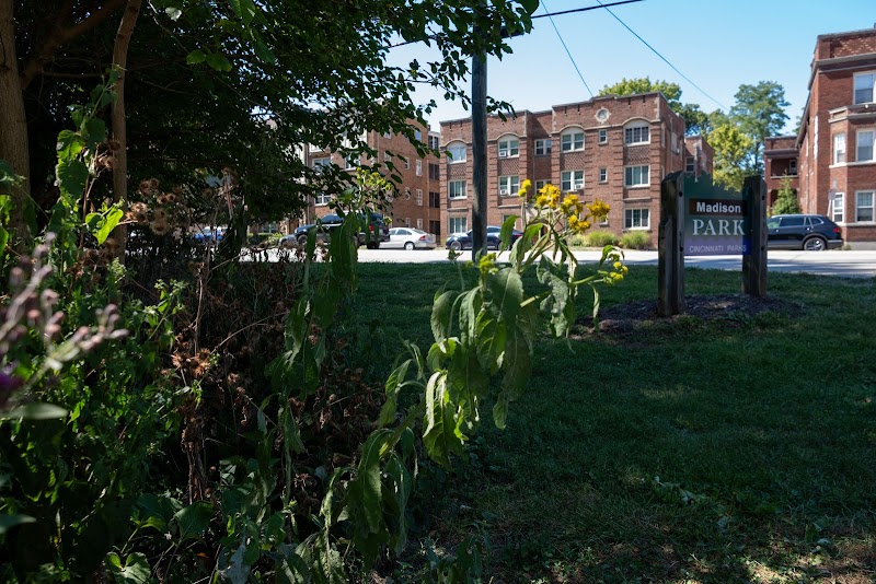 Madison Park - Cincinnati, OH