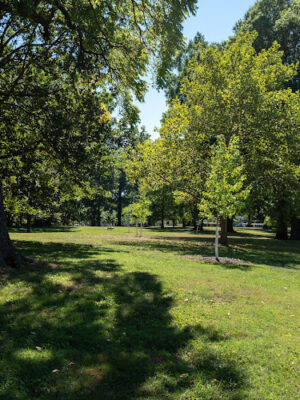 Madison Park