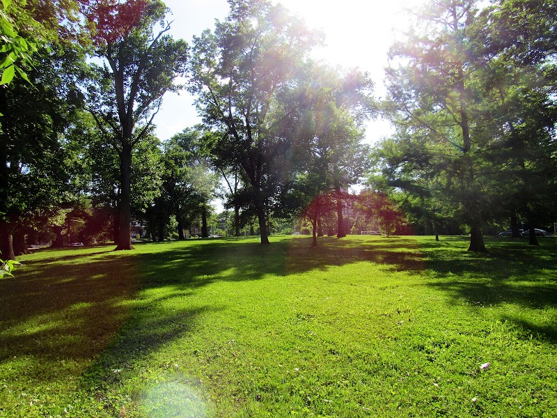 Madison Park - Cincinnati, OH