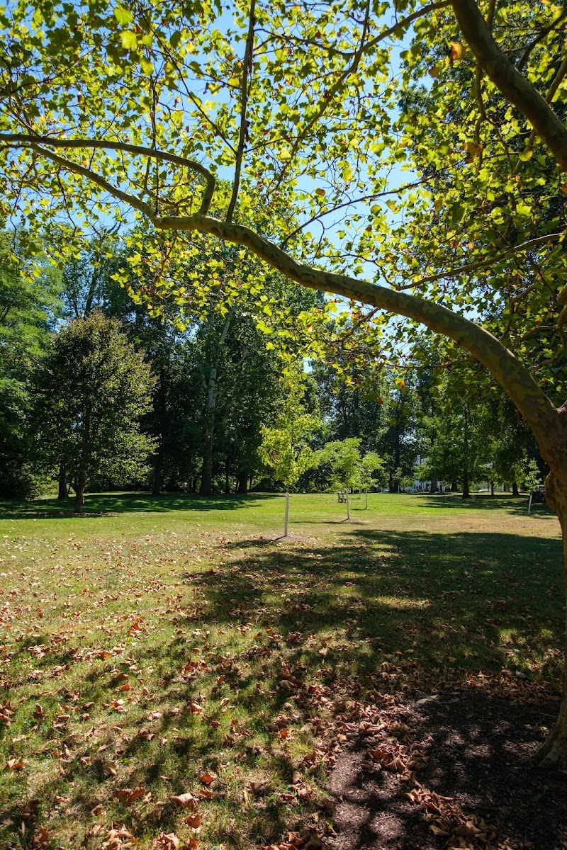 Madison Park - Cincinnati, OH