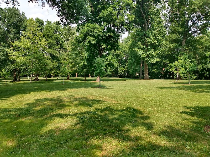 Madison Park - Cincinnati, OH
