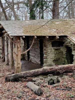 Mc Cullough Nature Preserve