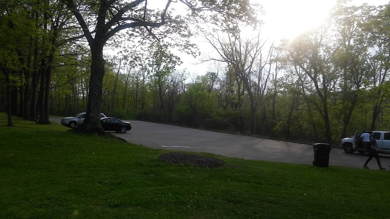 McFarlan Woods, Mt. Airy Forest - Cincinnati, OH