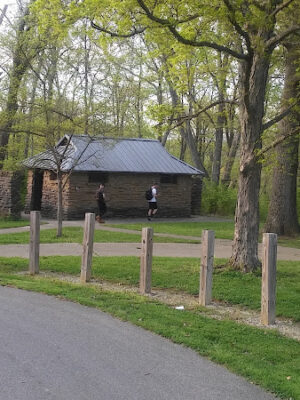 McFarlan Woods, Mt. Airy Forest