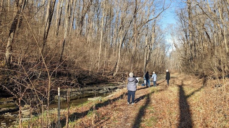 McFarlan Woods, Mt. Airy Forest - Cincinnati, OH