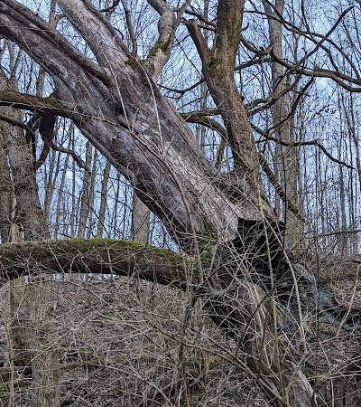 Miles-Edwards Park - Cincinnati, OH