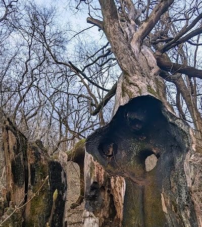 Miles-Edwards Park - Cincinnati, OH