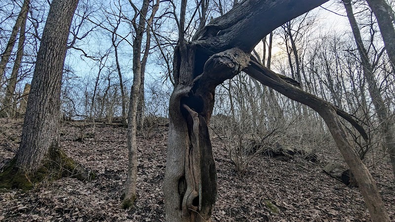 Miles-Edwards Park - Cincinnati, OH