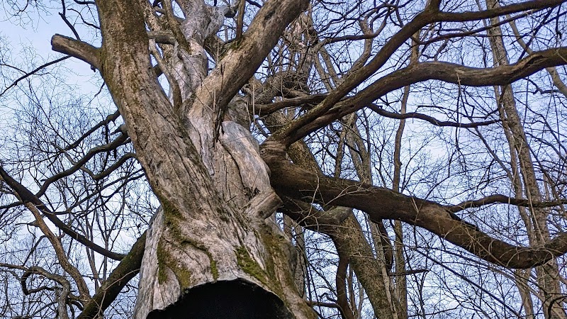 Miles-Edwards Park - Cincinnati, OH