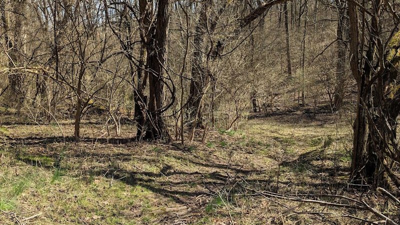 Miles-Edwards Park - Cincinnati, OH