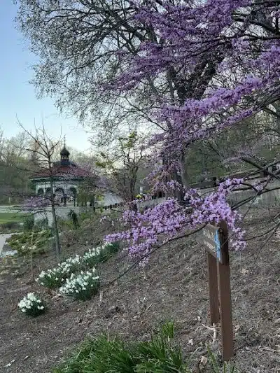 Mirror Lake - Cincinnati, OH