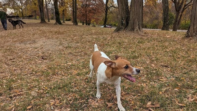Mt. Airy Dog Park - Cincinnati, OH