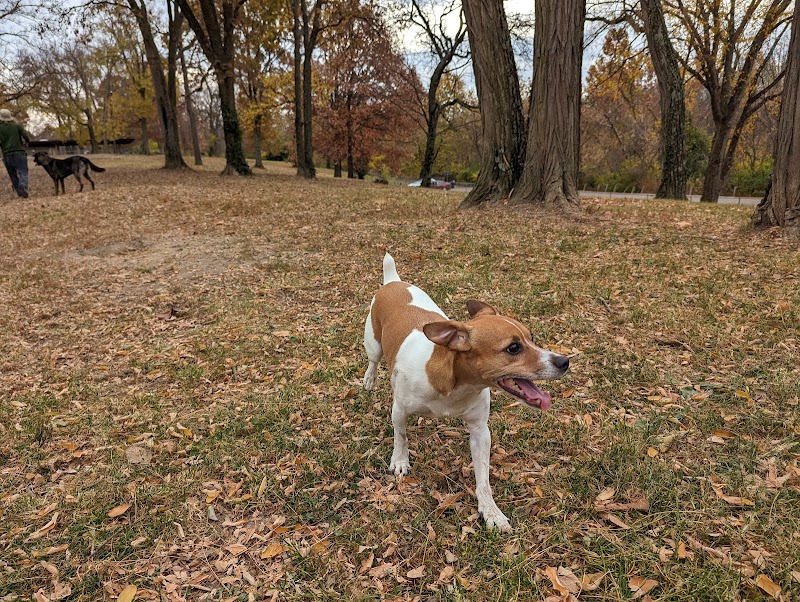 Mt. Airy Dog Park - Cincinnati, OH