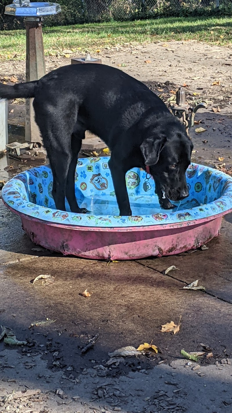 Mt. Airy Dog Park - Cincinnati, OH