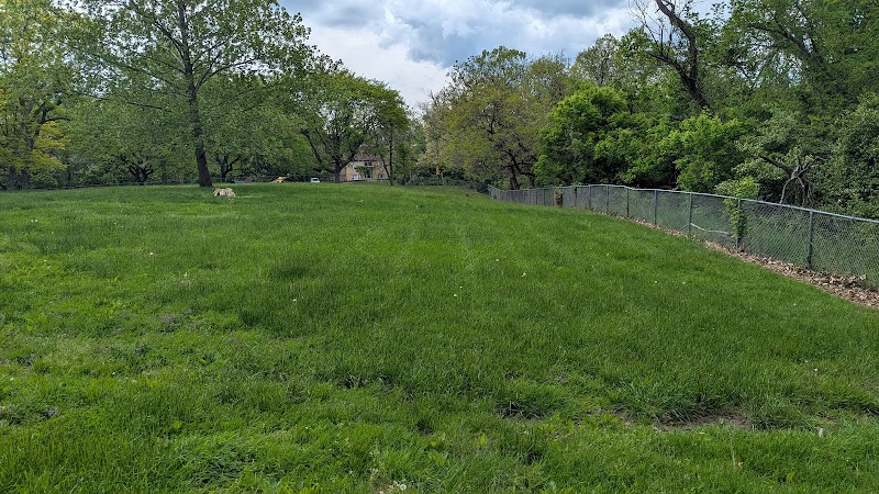 Mt. Airy Dog Park - Cincinnati, OH