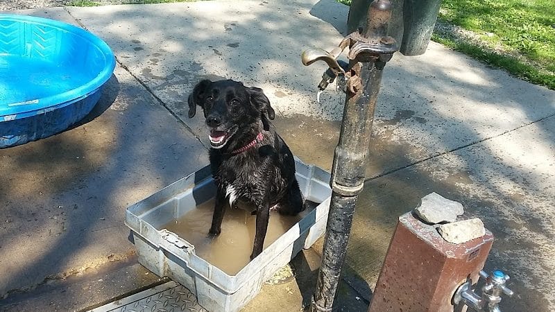 Mt. Airy Dog Park - Cincinnati, OH