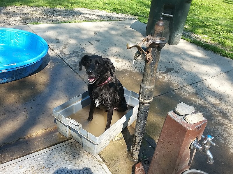 Mt. Airy Dog Park - Cincinnati, OH