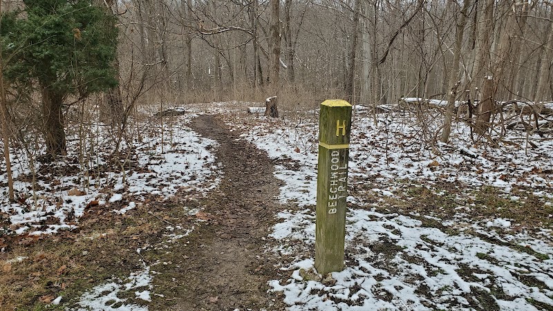 Mt. Airy Forest - Cincinnati, OH