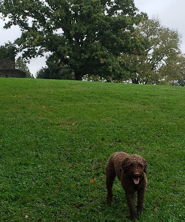 Mt. Storm Park