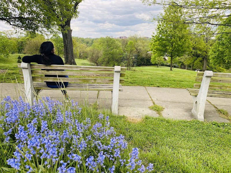 Mt. Storm Park - Cincinnati, OH