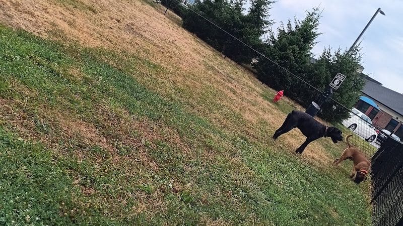 Oakley Station Dog Park - Cincinnati, OH