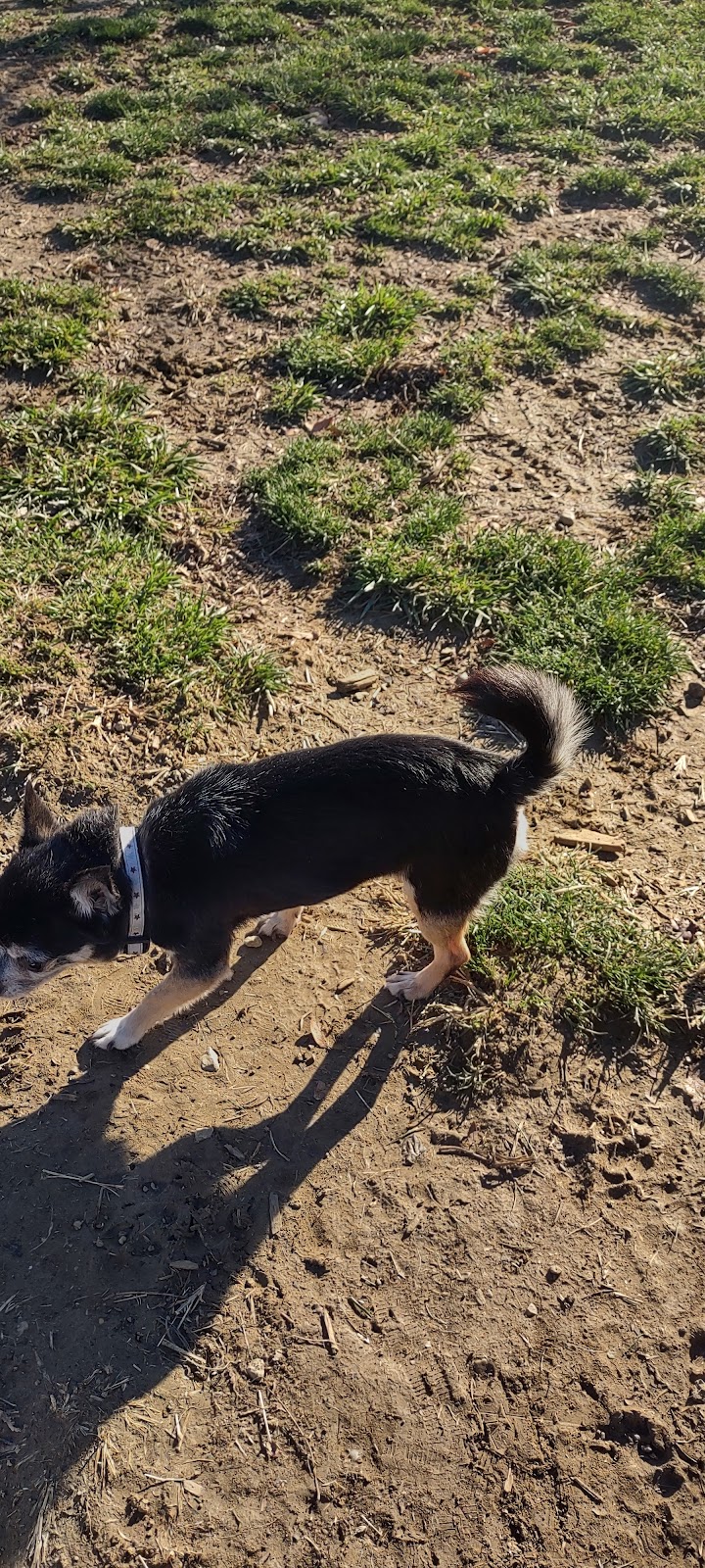 Oakley Station Dog Park - Cincinnati, OH