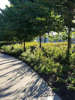 Ohio River Trail