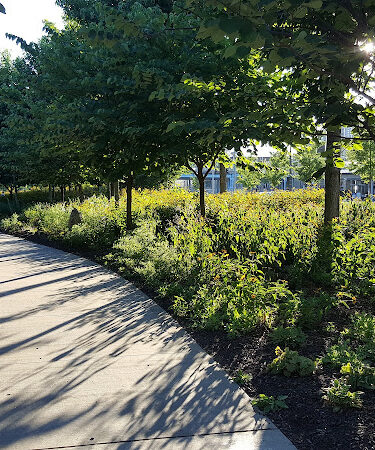 Ohio River Trail