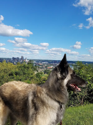Olden View Park