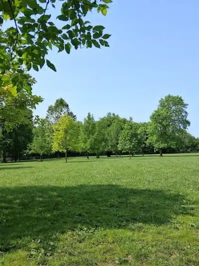 Otto Armleder Dog Park - Cincinnati, OH