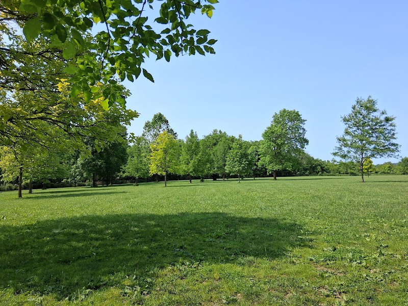 Otto Armleder Dog Park - Cincinnati, OH