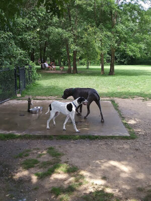 Otto Armleder Dog Park