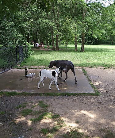 Otto Armleder Dog Park