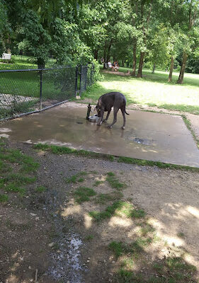 Otto Armleder Memorial Park