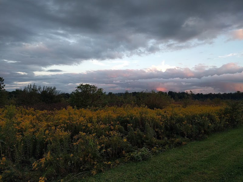 Otto Armleder Memorial Park - Cincinnati, OH