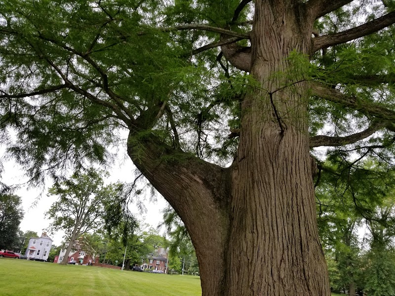 Owl's Nest Park - Cincinnati, OH