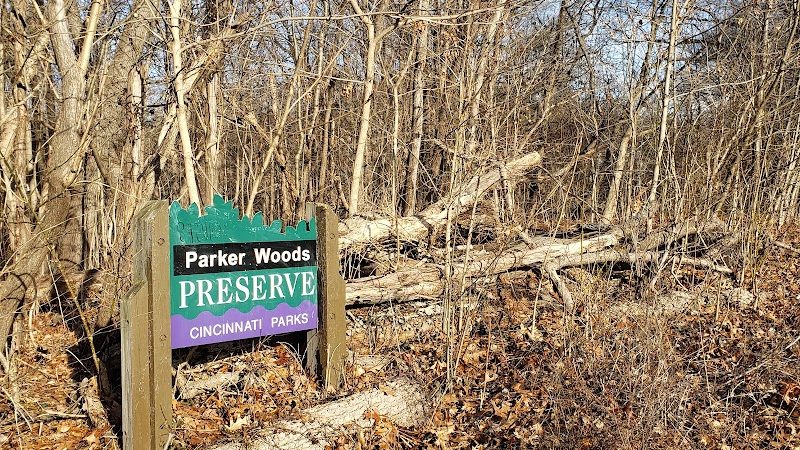 Parker Woods Nature Preserve - Cincinnati, OH