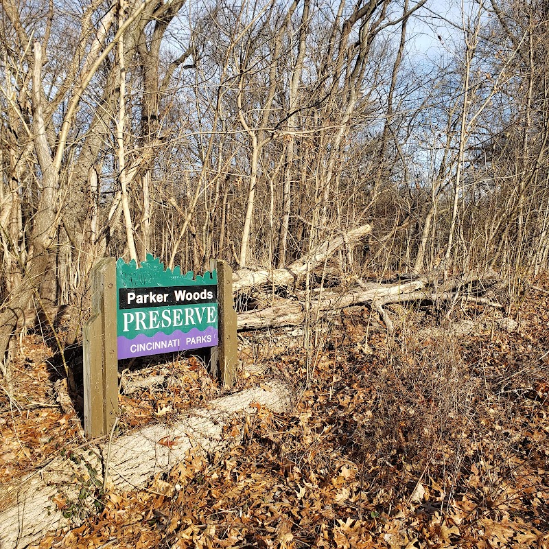 Parker Woods Nature Preserve - Cincinnati, OH