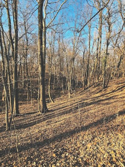 Parker Woods Nature Preserve - Cincinnati, OH