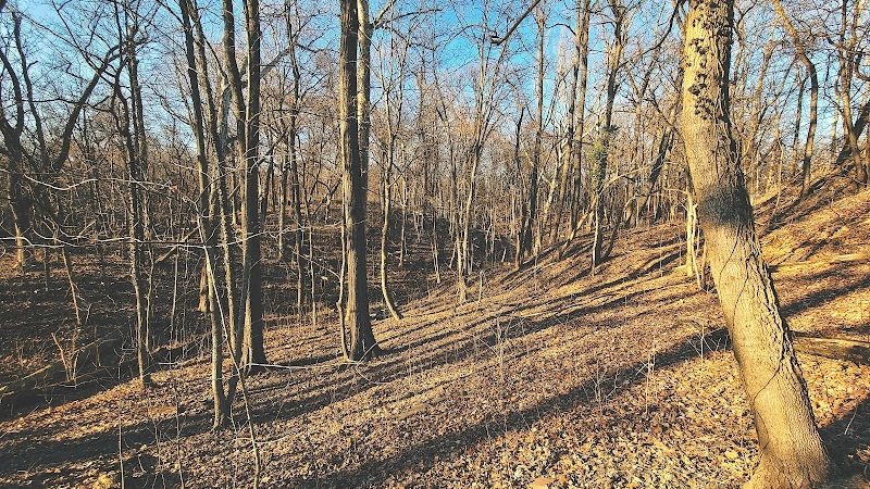 Parker Woods Nature Preserve - Cincinnati, OH