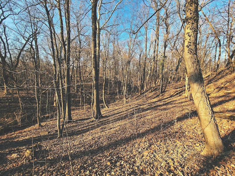 Parker Woods Nature Preserve - Cincinnati, OH
