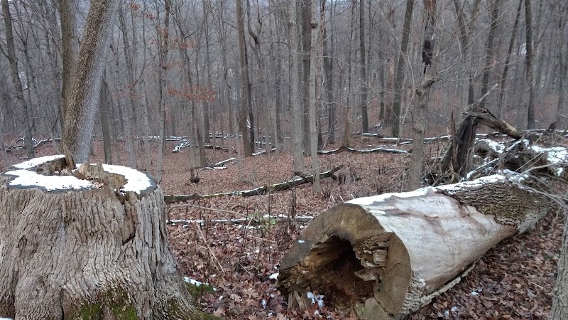 Parker Woods Nature Preserve - Cincinnati, OH