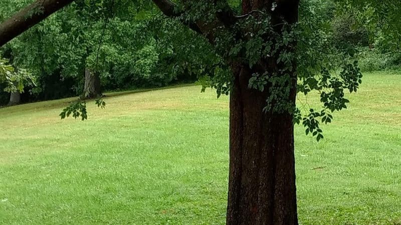 Parker Woods Nature Preserve - Cincinnati, OH