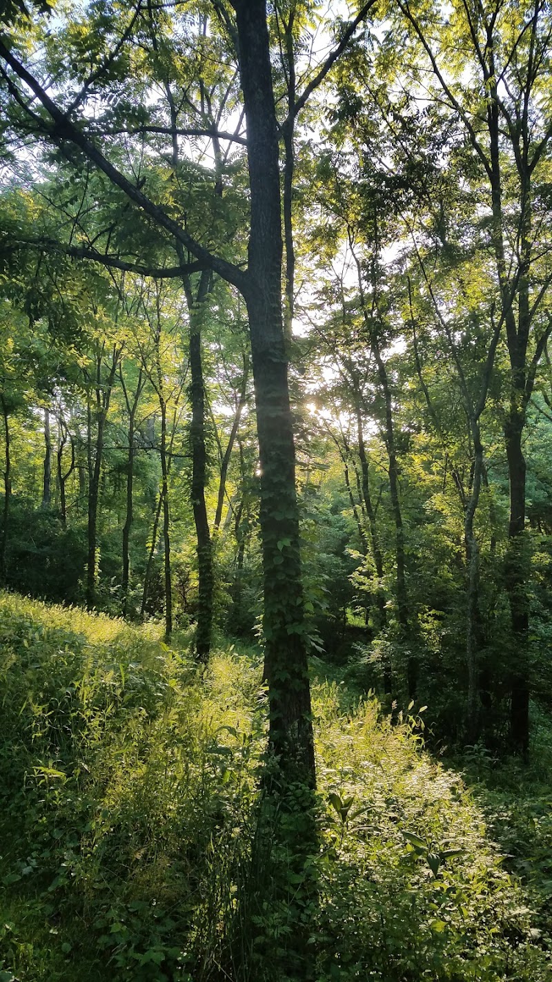 Rheinstrom Park - Cincinnati, OH