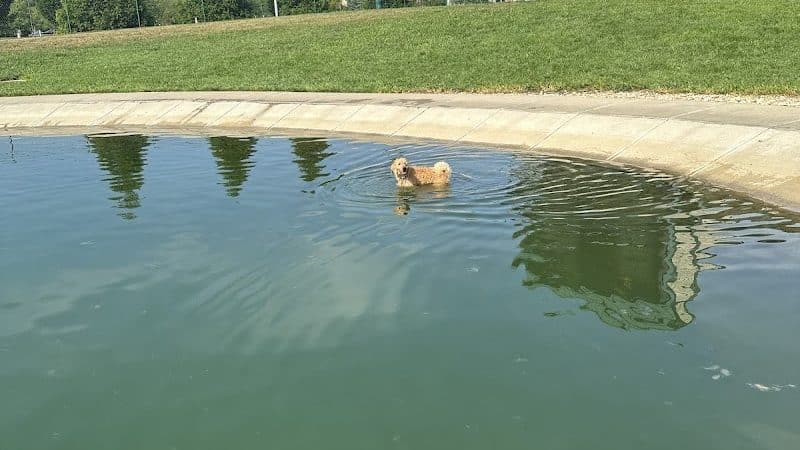 RJ Wags Park - Cincinnati, OH