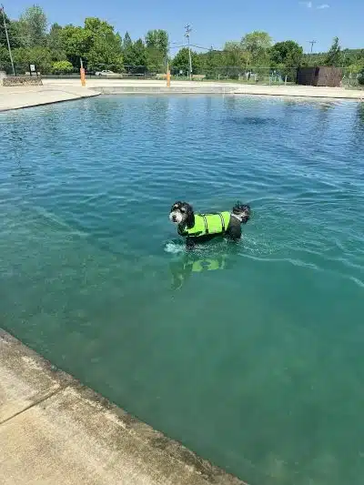 RJ Wags Park - Cincinnati, OH