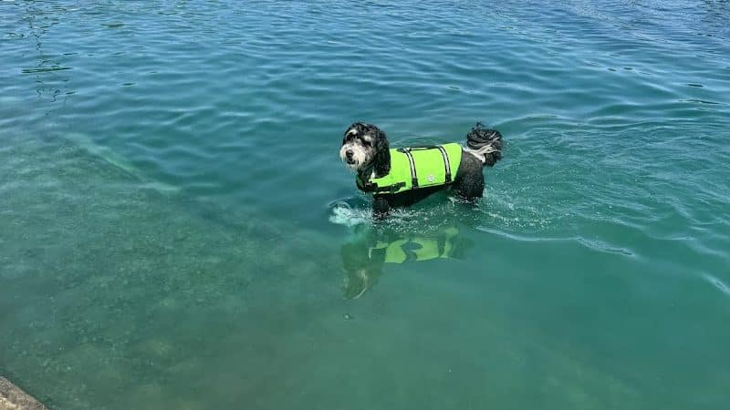 RJ Wags Park - Cincinnati, OH