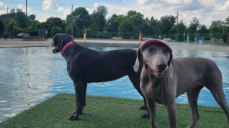 RJ Wags Park - Cincinnati, OH