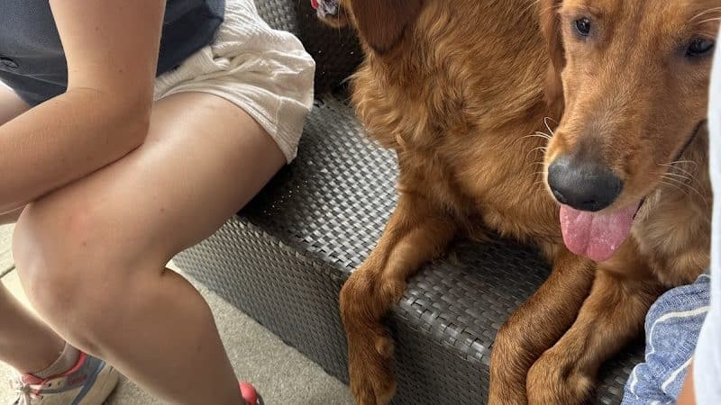 RJ Wags Park - Cincinnati, OH
